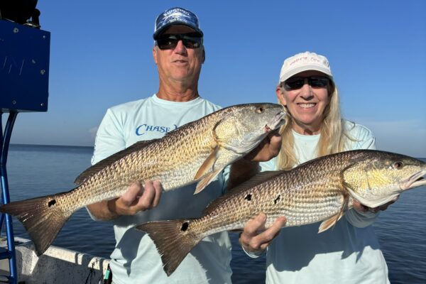 Inshore Guided Trip (Your Boat)