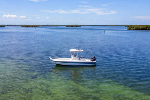 Inshore Guided Trip (Your Boat)